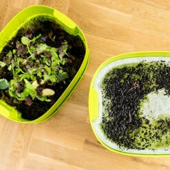 Worm Composter Lime -Tuinartikelen Verkoop Winkel image 1060