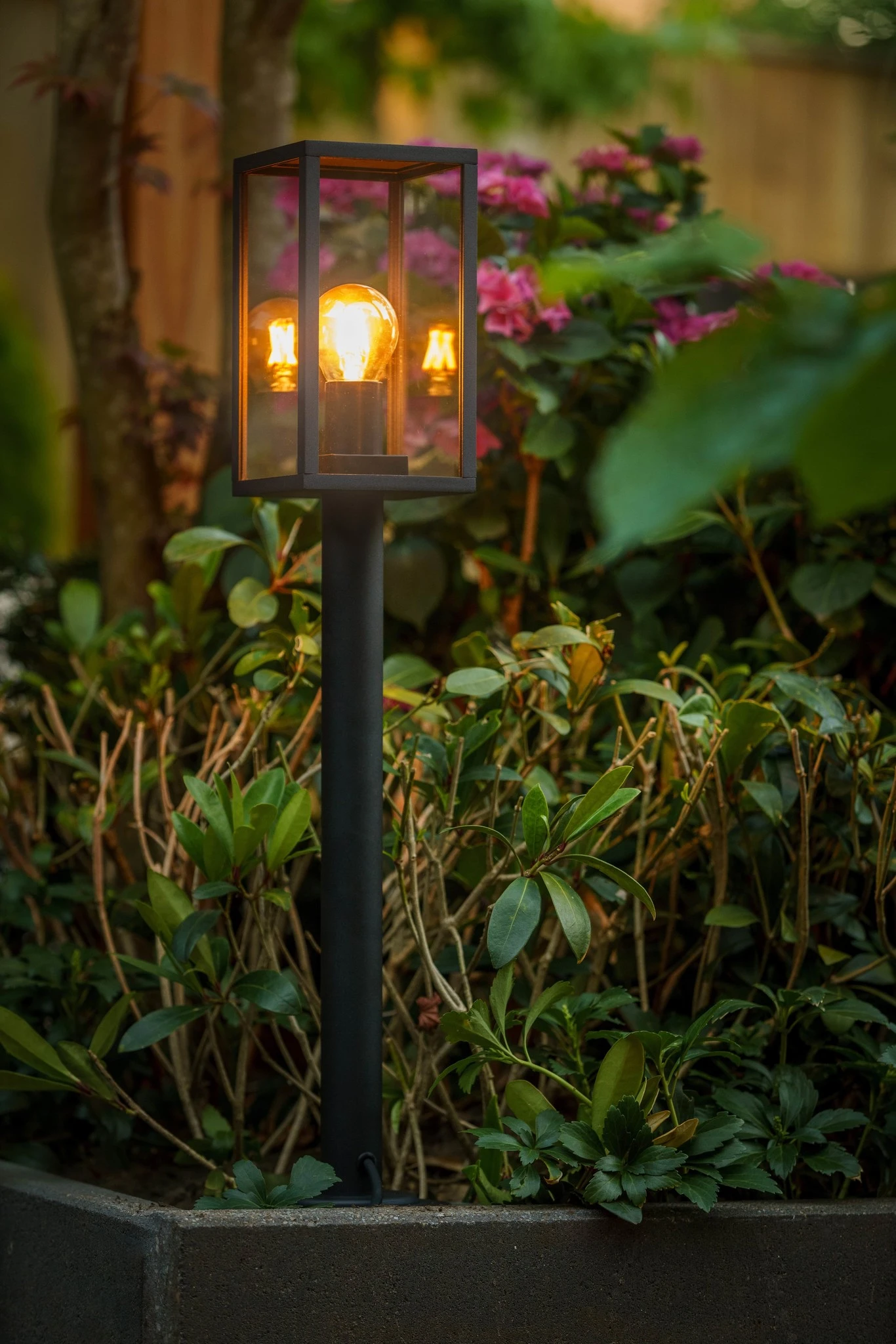 Garden Lights Limosa 70 5 Garden Lights Limosa 70 - Afbeelding 5