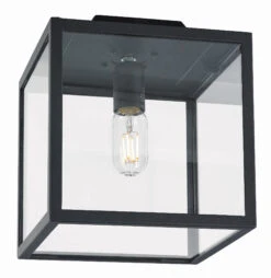 Franssen Franssen Plafondlamp Lofoten Vierkant Zwart - 12V