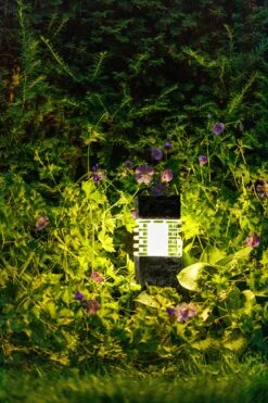 Garden Lights Phobos -Tuinartikelen Verkoop Winkel image 1383