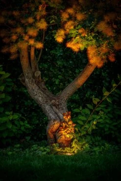 Garden Lights Rubum -Tuinartikelen Verkoop Winkel image 1422