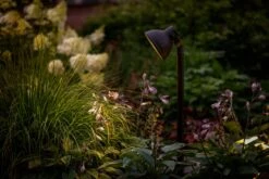 Garden Lights Dax -Tuinartikelen Verkoop Winkel image 1463