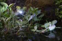 Heissner Smart Light Spot 9W RGB Metaal -Tuinartikelen Verkoop Winkel image 1531