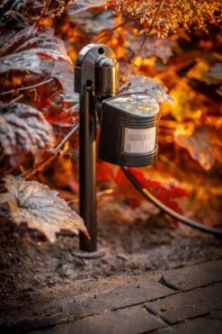 Garden Lights 12V Bewegingssensor (max 60W) -Tuinartikelen Verkoop Winkel image 1568