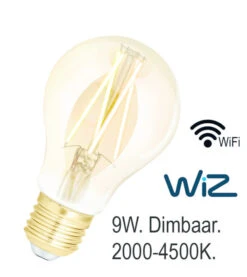Franssen Wiz Ledlamp 2000k-4500k Wifi