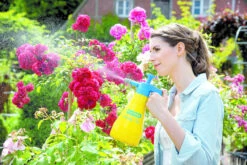 Gloria Fijnsproeier Hobby Flex 10 1 Liter 10 Gloria Fijnsproeier Hobby Flex 10 1 Liter -Tuinartikelen Verkoop Winkel image 184