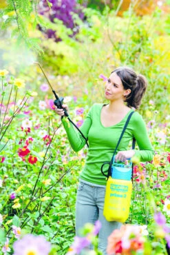 Gloria Drukspuit Prima 3 Liter -Tuinartikelen Verkoop Winkel image 191