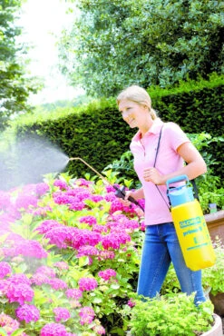 Gloria Drukspuit Prima 5 Liter -Tuinartikelen Verkoop Winkel image 207