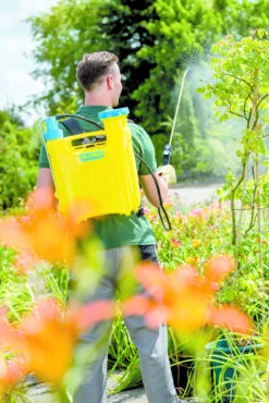 Gloria Rugspuit Hobby 12 Liter -Tuinartikelen Verkoop Winkel image 300