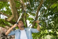 Gardena Takkenschaar EnergyCut 750A -Tuinartikelen Verkoop Winkel image 609