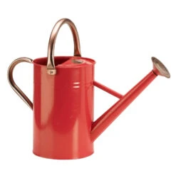 Gieter 4,5 Liter Verzinkt -Tuinartikelen Verkoop Winkel image 62