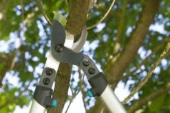 Gardena Premium Takkenschaar 700 B -Tuinartikelen Verkoop Winkel image 651