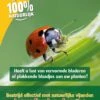 ECOstyle Larven Lieveheersbeestje Tegen Bladluizen 50 St.