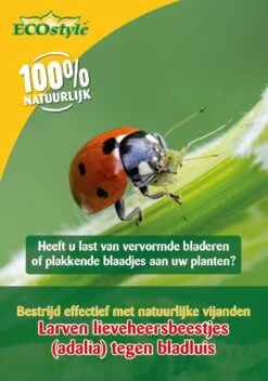 ECOstyle Larven Lieveheersbeestje Tegen Bladluizen 50 St.