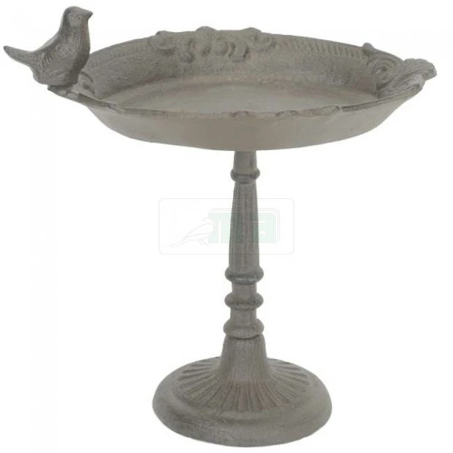 Vogelbad Vogel Op Voet 1 Vogelbad Vogel Op Voet