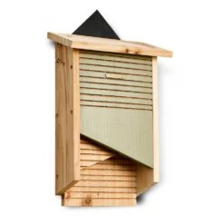 Vleermuishuis Conservation