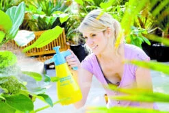 Gloria Handspuit Hobby 100 1 Liter 5 Gloria Handspuit Hobby 100 1 Liter -Tuinartikelen Verkoop Winkel image 97